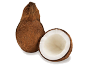Arul Jothi Exports